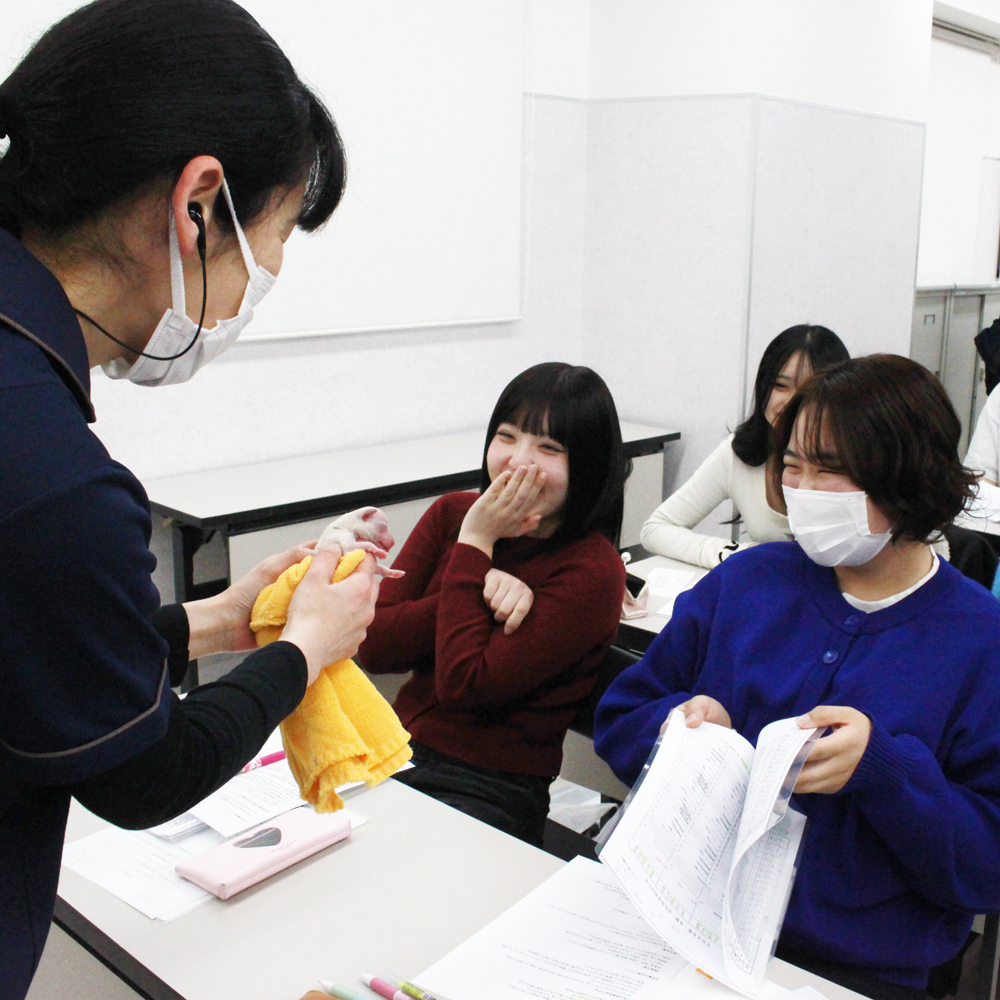 新入生、入学式の翌日に子犬が産まれました！